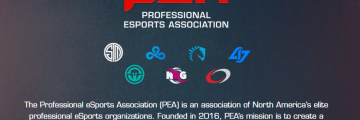 Professional esports association teams